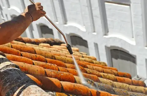 Nettoyage de toitures - Saint-Marceau